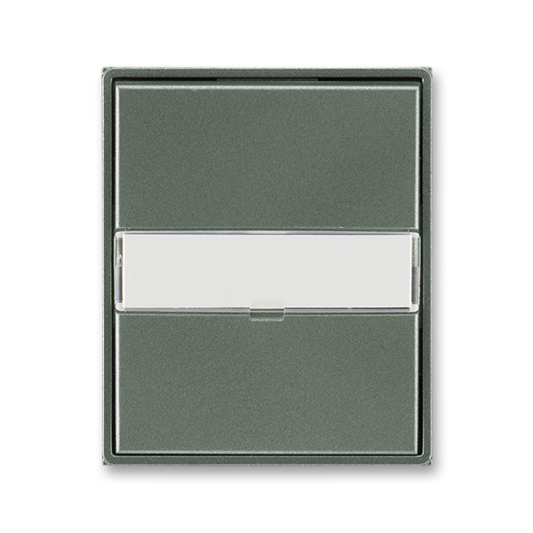 Kryt spínače kolébkového s popisovým polem, Time®, Time® Arbo, antracitová