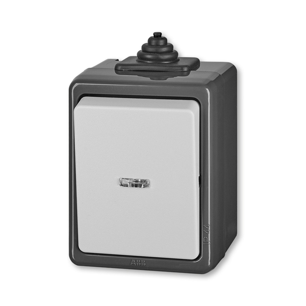 Přepínač střídavý IP 44, s čirým průzorem, Praktik, šedá