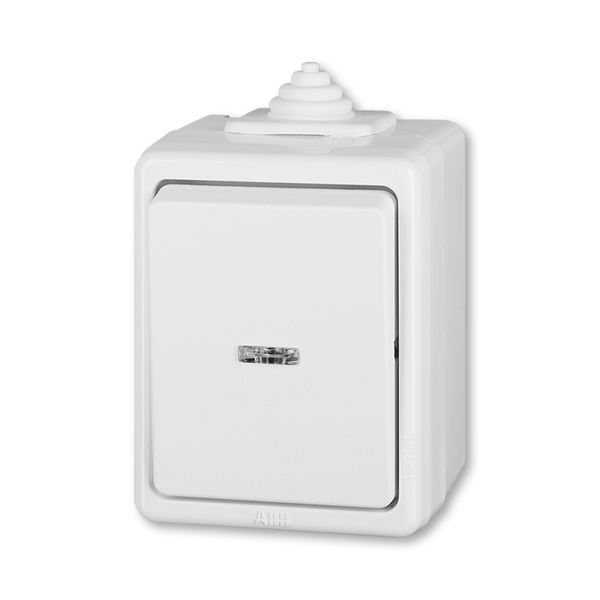 Přepínač křížový IP 44, s čirým průzorem, Praktik, bílá