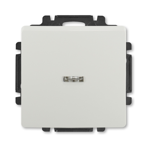 Spínač jednopólový s průzorem, Swing®, Swing®L, světle šedá