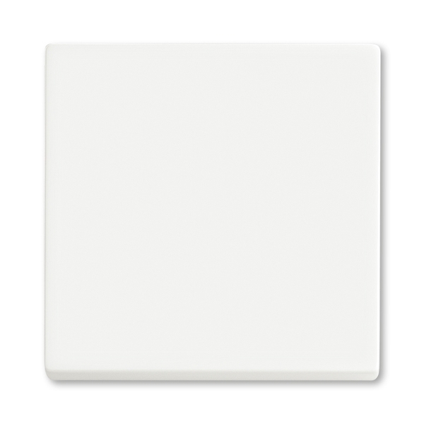 Kryt spínače kolébkového, Future® linear, mechová bílá