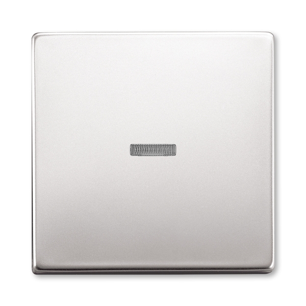 Kryt spínače kolébkového s čirým průzorem, Future® linear, ušlechtilá ocel