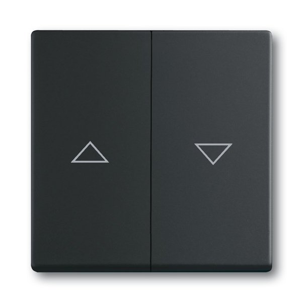 Kryt spínače žaluziového kolébkového dělený, s potiskem, Future® linear, mechová černá