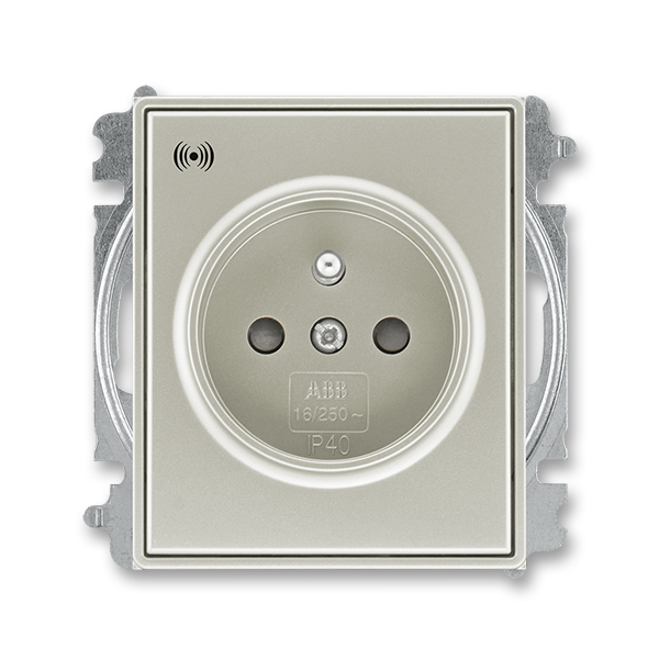 Zásuvka jednonásobná s ochranným kolíkem, s clonkami, s ochranou před přepětím, Time®, Time® Arbo, starostříbrná