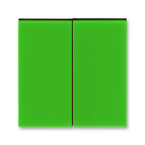 Kryt spínače kolébkového dělený, Levit®, zelená / kouřová černá