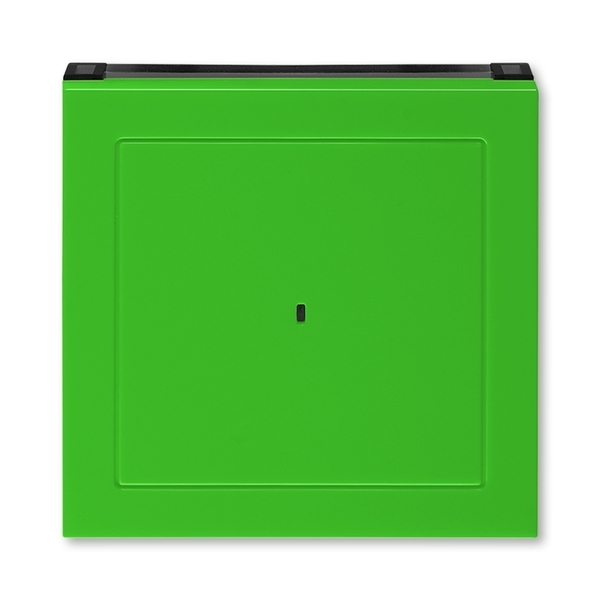 Kryt spínače kartového, s čirým průzorem, Levit®, zelená / kouřová černá