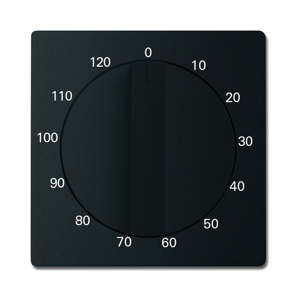 Kryt ovládače časového s otočným ovladačem, Future® linear, mechová černá