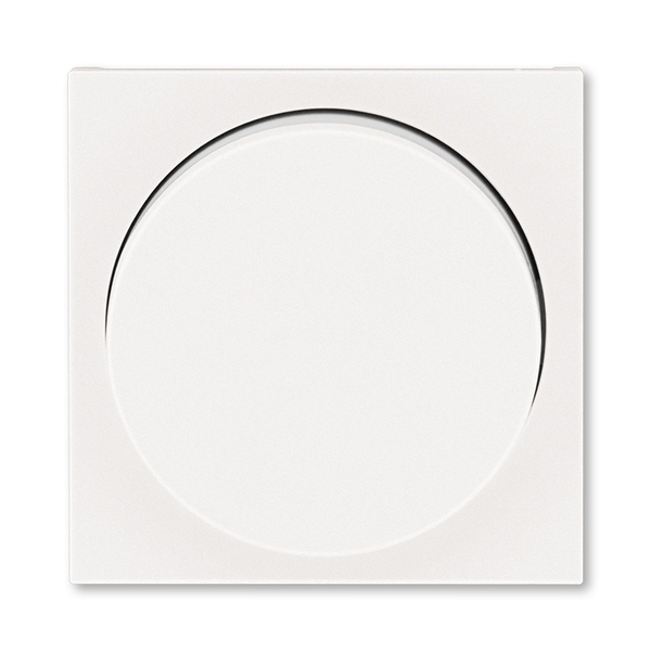 Kryt stmívače s otočným ovladačem, s upevňovací maticí, perleťová / ledová bílá