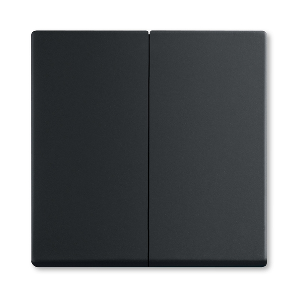 Kryt dělený pro smart switch, mechová černá