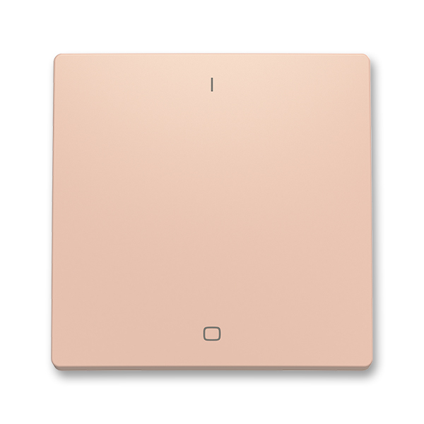 Kryt spínače kolébkového trojpólového, s potiskem, pudrová