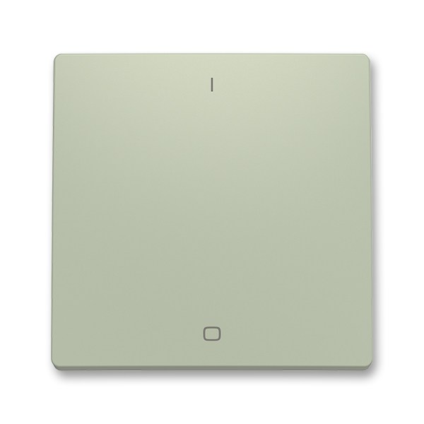 Kryt spínače kolébkového trojpólového, s potiskem, olivová