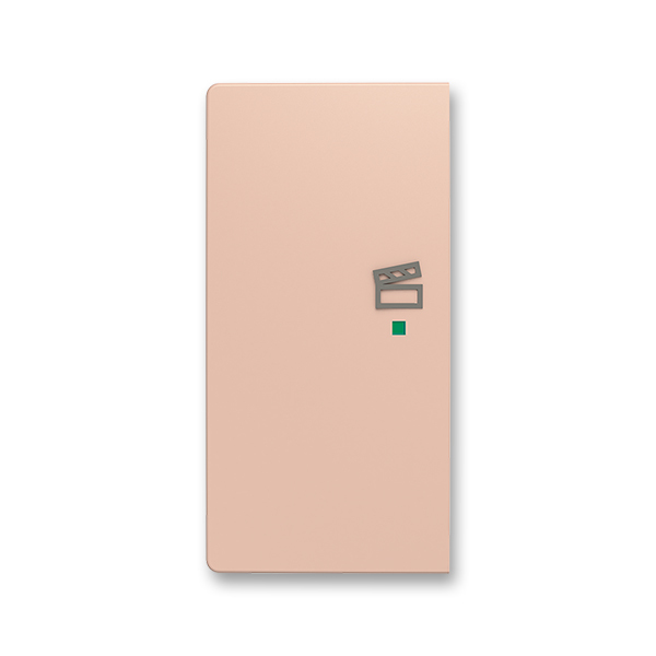 Kryt 2násobný levý, symbol „scény“, pudrová