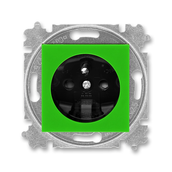 Zásuvka jednonásobná s ochranným kolíkem, s integrovanými clonkami, Levit®, zelená / kouřová černá