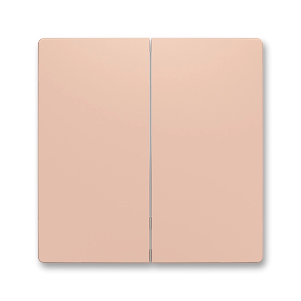 Kryt dělen&yacute; pro smart switch
