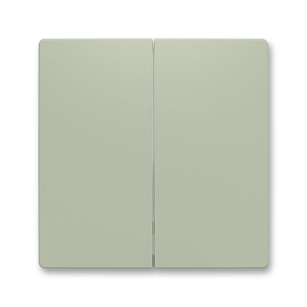 Kryt dělen&yacute; pro smart switch