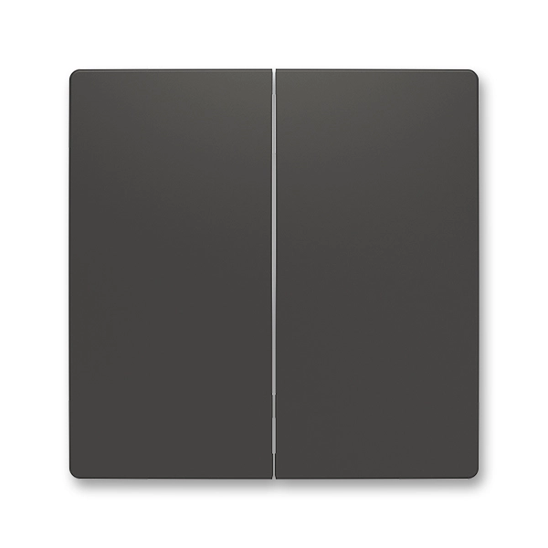 Kryt dělen&yacute; pro smart switch