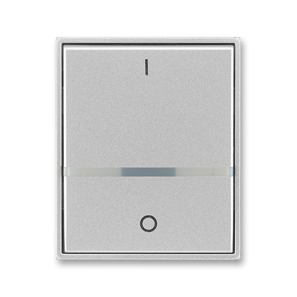 Kryt spínače kolébkového s čirým průzorem, s potiskem, Time®, Time® Arbo, titanová