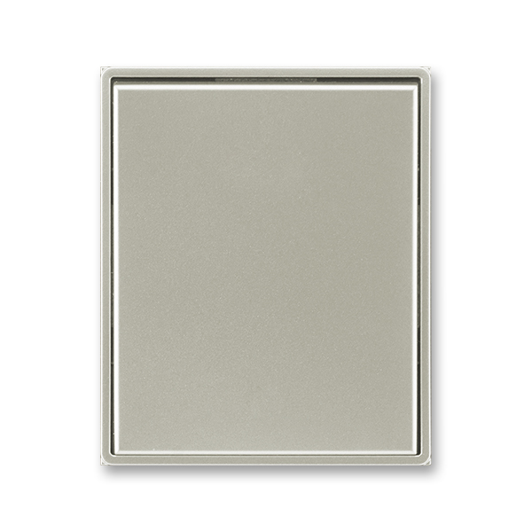 Kryt spínače kolébkového, Time®, Time® Arbo, starostříbrná