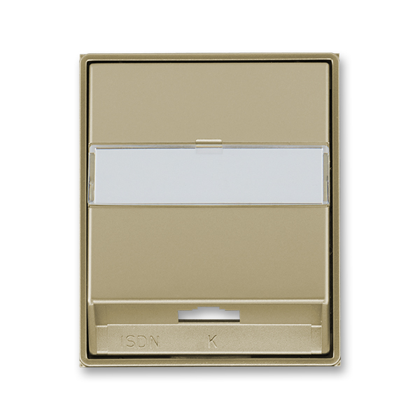 Kryt zásuvky ISDN s 1 otvorem, Time®, Time® Arbo, šampaňská