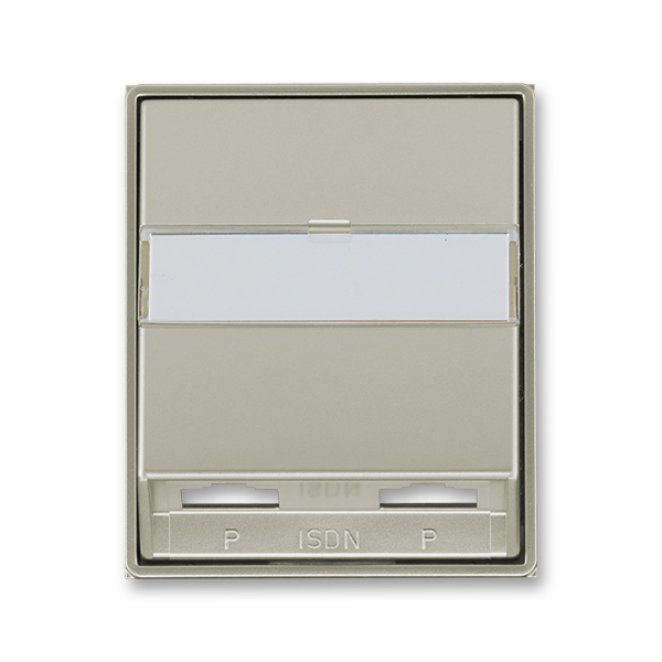 Kryt zásuvky ISDN s 2 otvory, Time®, Time® Arbo, starostříbrná