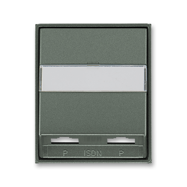 Kryt zásuvky ISDN s 2 otvory, Time®, Time® Arbo, antracitová