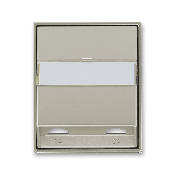 Kryt zásuvky telefonní s 2 otvory, Time®, Time® Arbo, starostříbrná