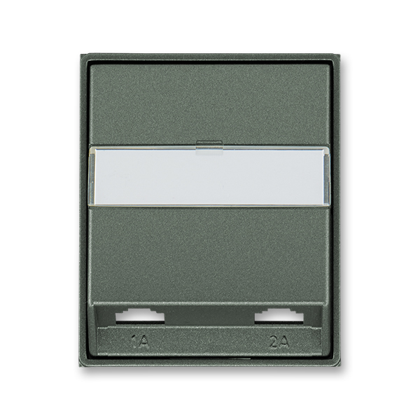 Kryt zásuvky telefonní s 2 otvory, Time®, Time® Arbo, antracitová