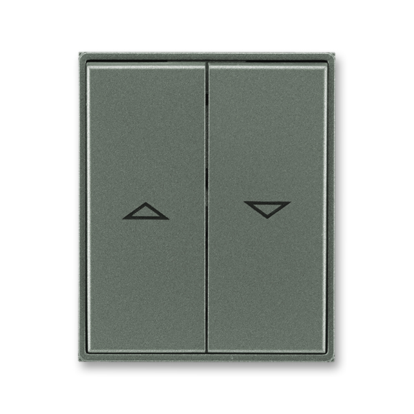 Kryt spínače žaluziového kolébkového dělený, s potiskem, Time®, Time® Arbo, antracitová