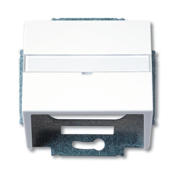 Kryt zásuvky komunikační s popisovým polem, Future® linear, Solo®, Solo® carat, studio bílá